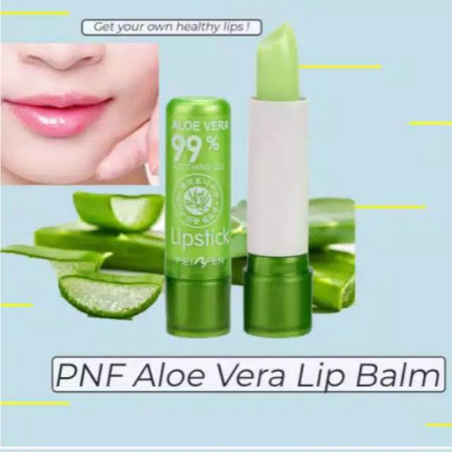 [per pcs] Aloe vera nature lip balm 99%