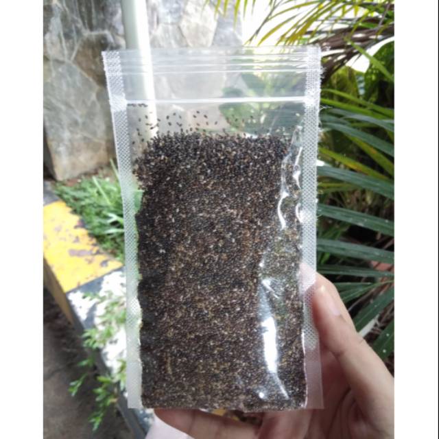 

MURAH Chiaseed organik