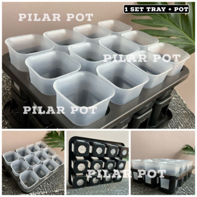 1 set Tray + pot nkt kotak 5cm BENING TRANSPARAN | tray semai bibit