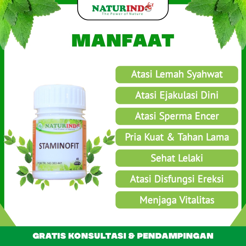 Obat Herbal Ejakulasi Dini Atasi Sperma Encer Lemah Syahwat Disfungsi Ereksi  Staminofit Naturindo Bpom Halal Tanpa Efek Samping-1