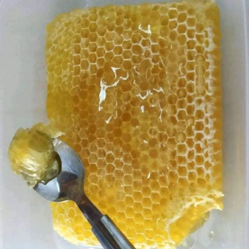 

madu sarang asli hutan liar