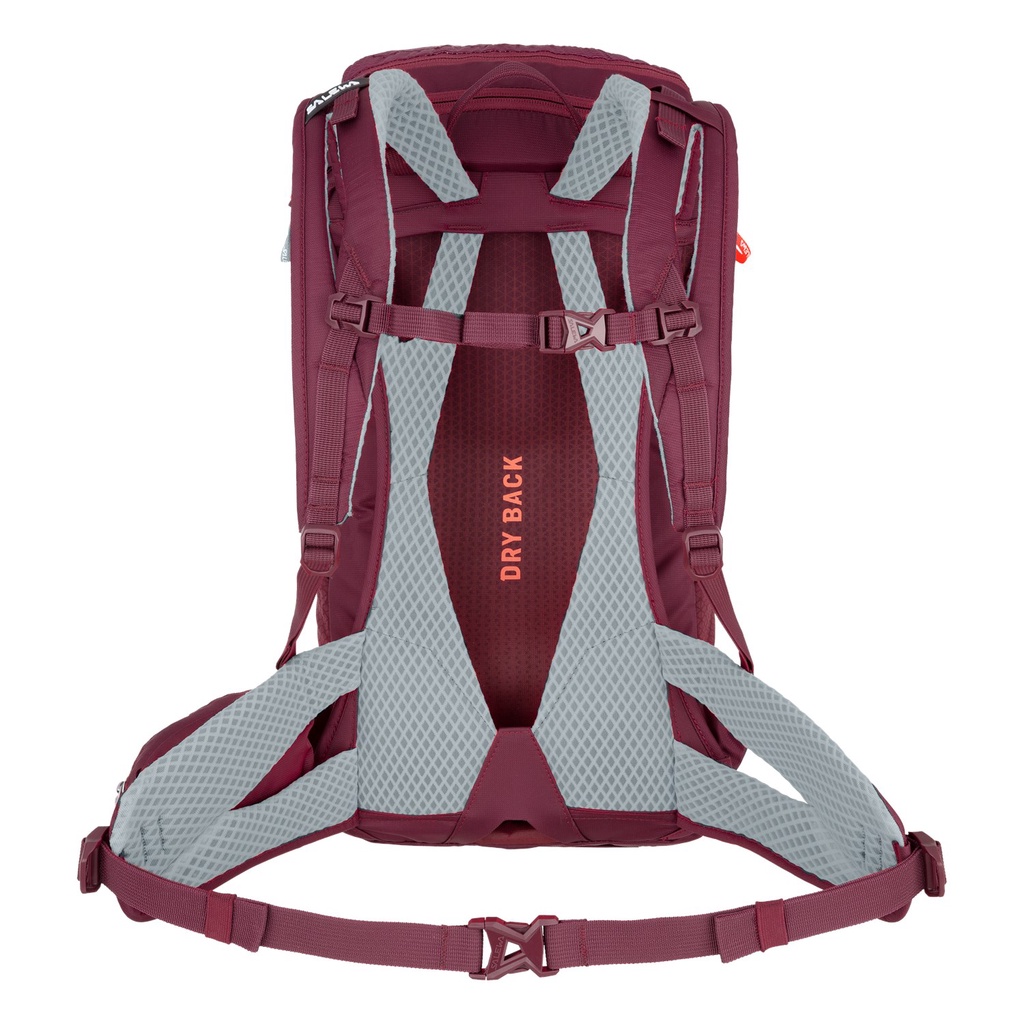 Tas Salewa Alp Trainer 20 Women Backpack