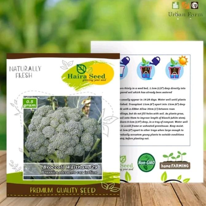 #####] Brokoli Waltham