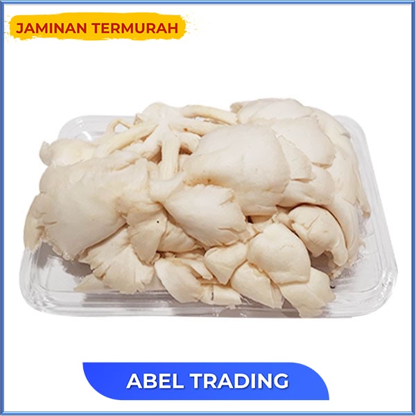 

Jamur Tiram Pack 100 Gr
