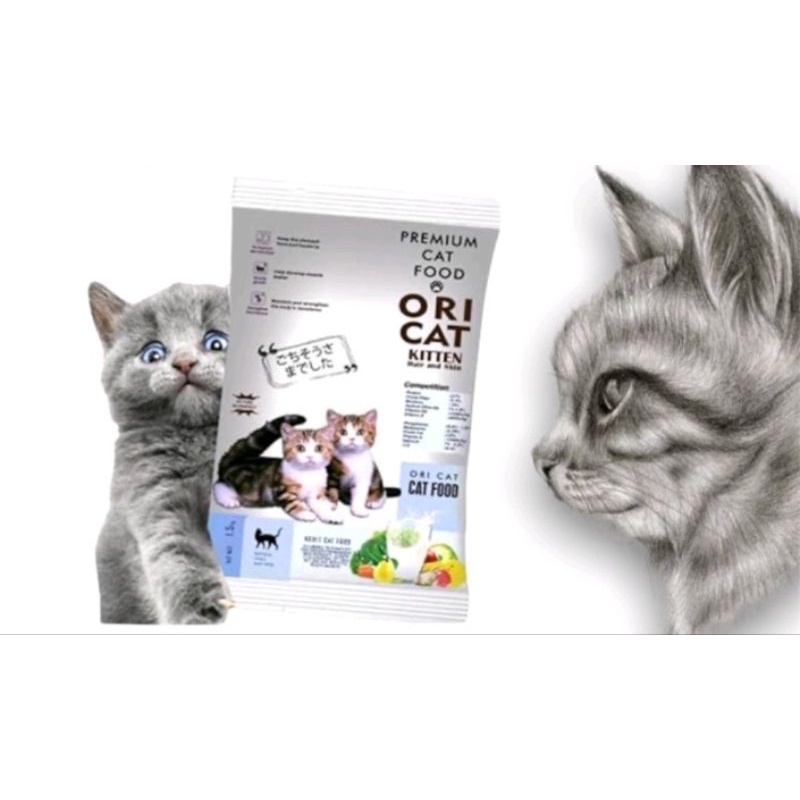 (CAT) ORI CAT KITTEN
