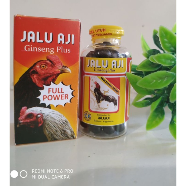 jalu aji jamu ayam gingseng plus stamina doping