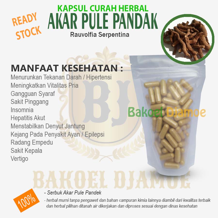 

Kapsul curah herbal akar pule pandak kapsul herbal hipertensi ganguan syaraf