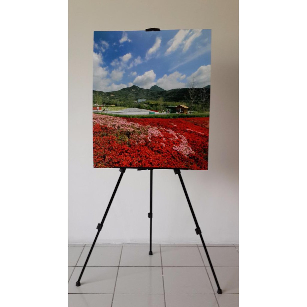 

✨BISA COD✨ Tripod Display