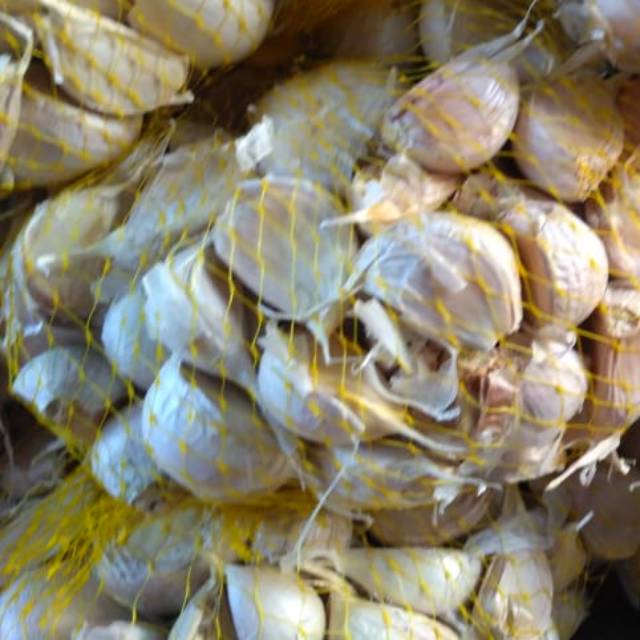 

Bawang Putih