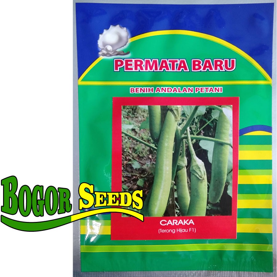 isi 5garm - bibit terong hijau F1 CARAKA - benih terong hijau f1 ( ±1250 biji )
