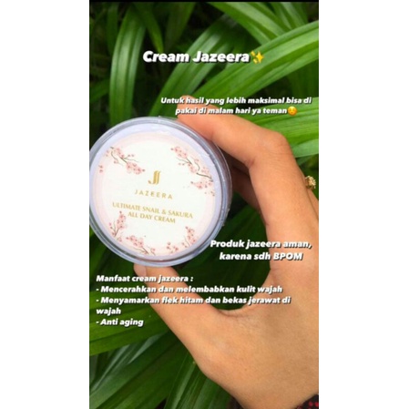 Allday cream jazeera