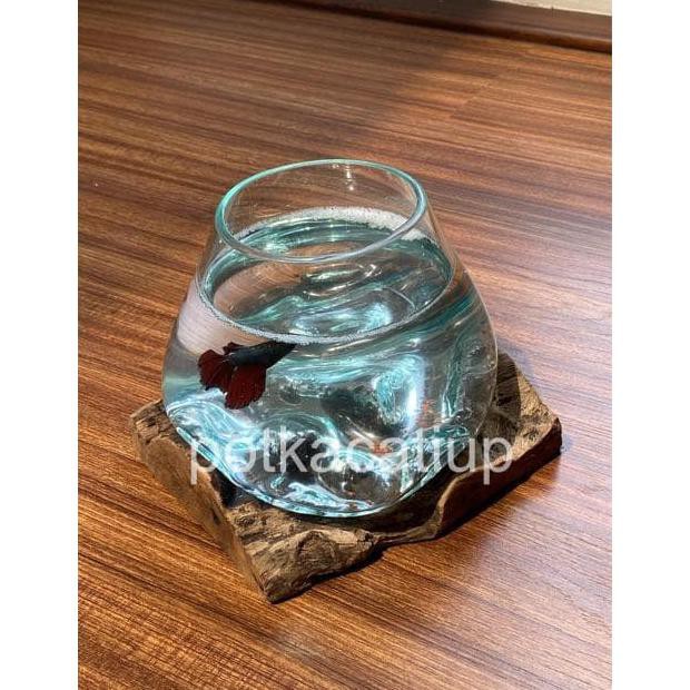 Ready Akuarium Mini Unik Ikan Cupang