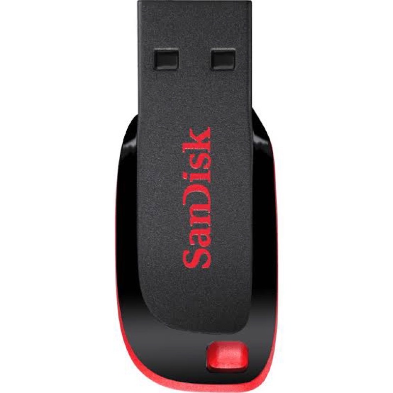 Flash Disk San Disk