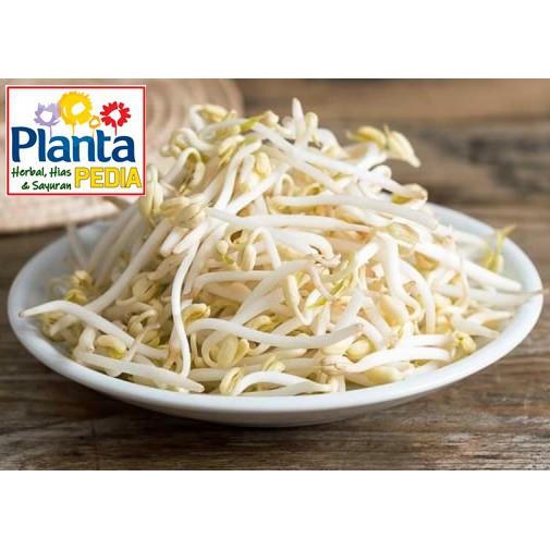 

TOGE TAUGE KECAMBAH SAYURAN SEGAR MAKANAN SEGAR MINUMAN DIET SEHAT JANTUNG, OBESITAS, ANEMIA, LANCAR