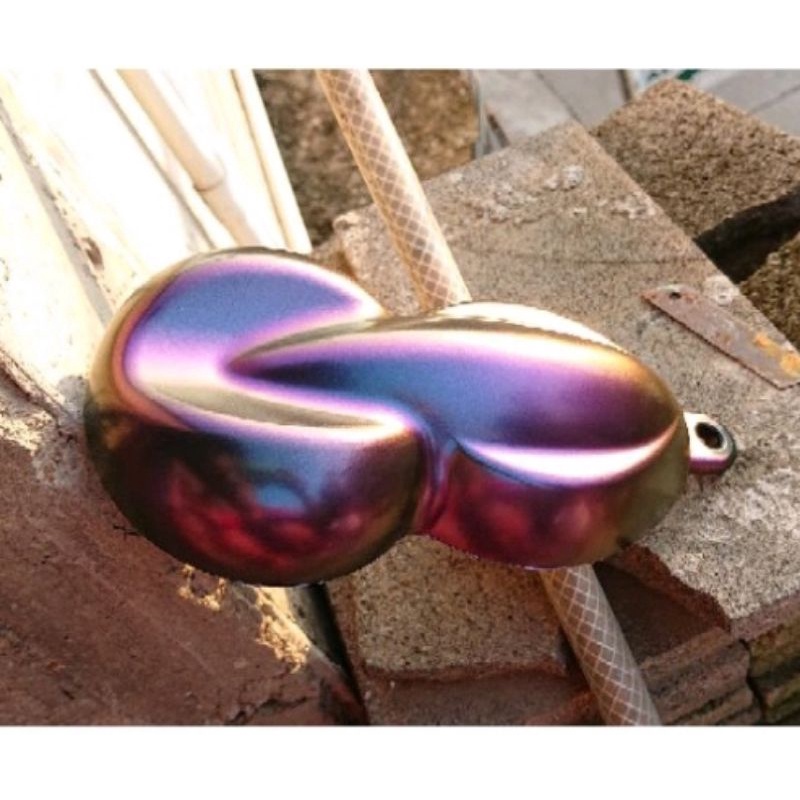 cat bunglon 5 warna 250 ml