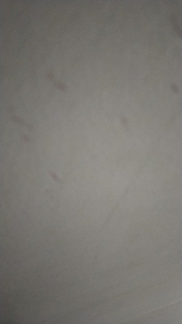 Alat Pemeras Jeruk Pres Manual Peras Buah Jus Anti Karat Higenis Ossel