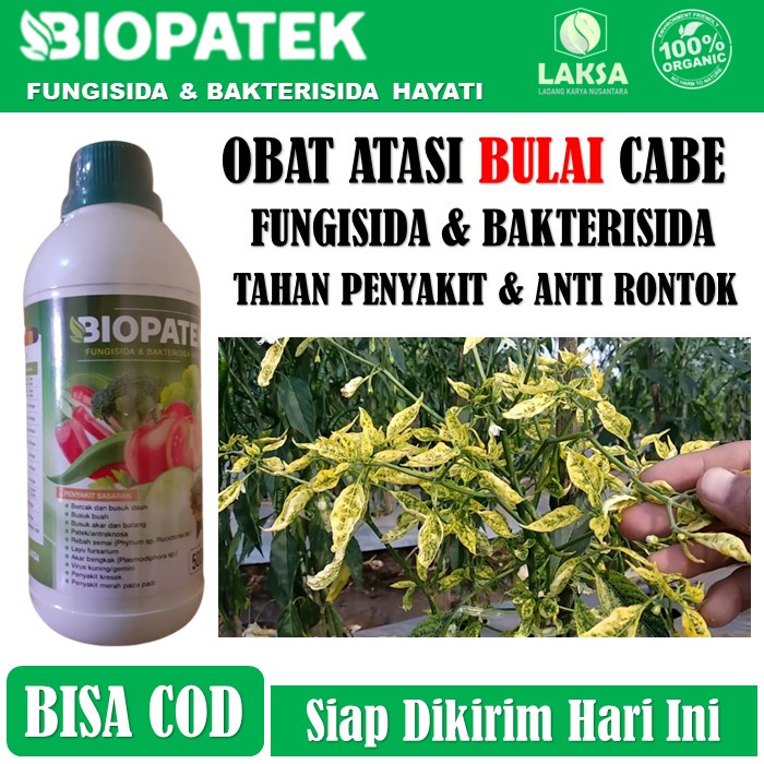 (PROMO MURAH) BIOPATEK 500 ML Obat Semprot Atasi Bulai Daun Cabe - Fungisida & Bakterisida Hayati Bi