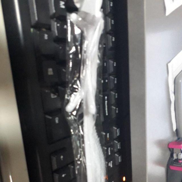 Cute Squirrel Rice Spoon - Sendok Nasi Tupai Lucu