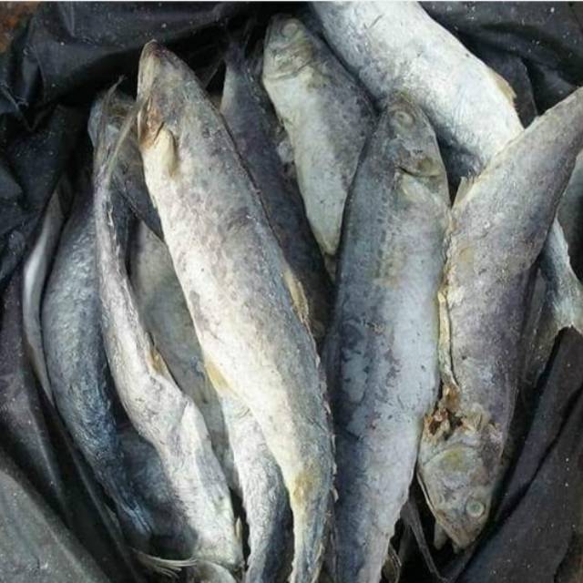 

Ikan asin tenggiri 500gram