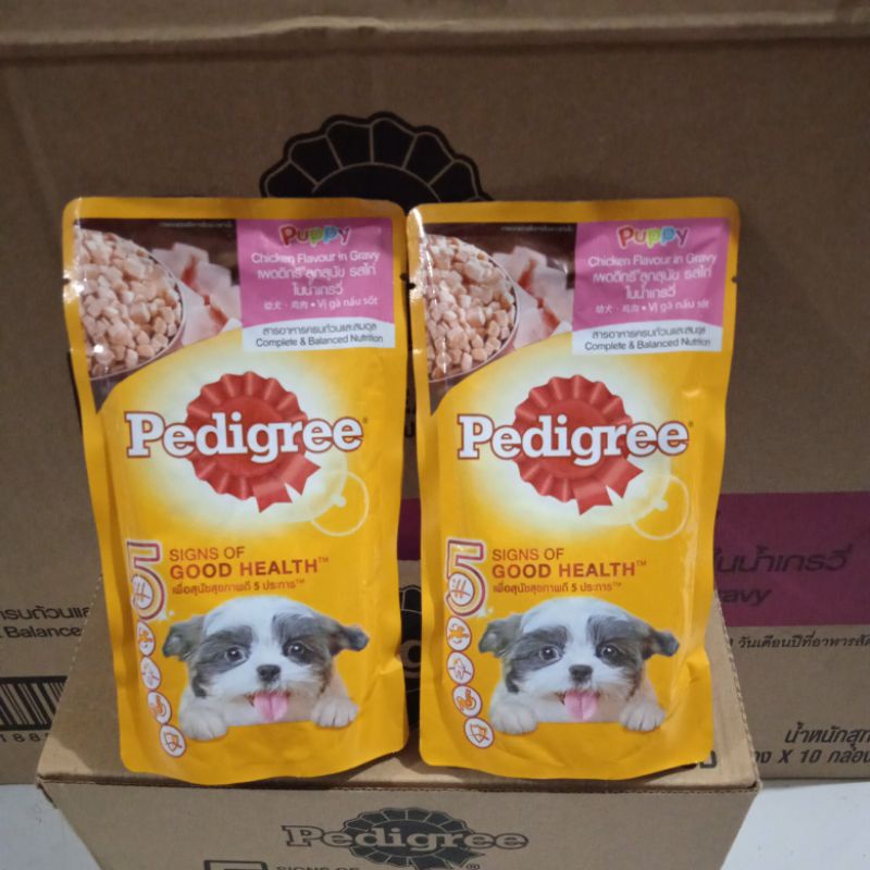 PEDIGREE SACHET PUPPY CHIKEN IN GRAVY 130g paket 12 pics