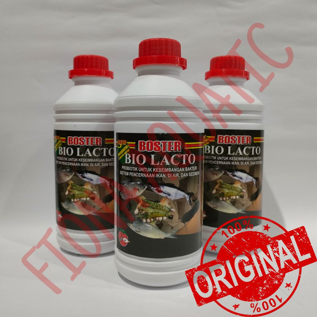 BOSTER BIO LACTO 1 LITER / PROBIOTIK LACTOBACILUS