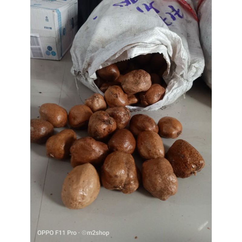 

buah zurriyat (M2SHOP) BUAH NYAMENG