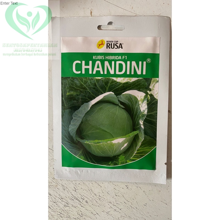 Benih sayur kubis hibrida F1 CHANDINI isi 10gr dari CAP RUSA