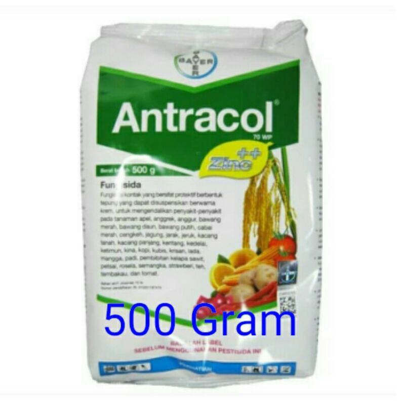 Fungisida Antracol 70 Wp 500 Gram Asli Pabrik Shopee Indonesia