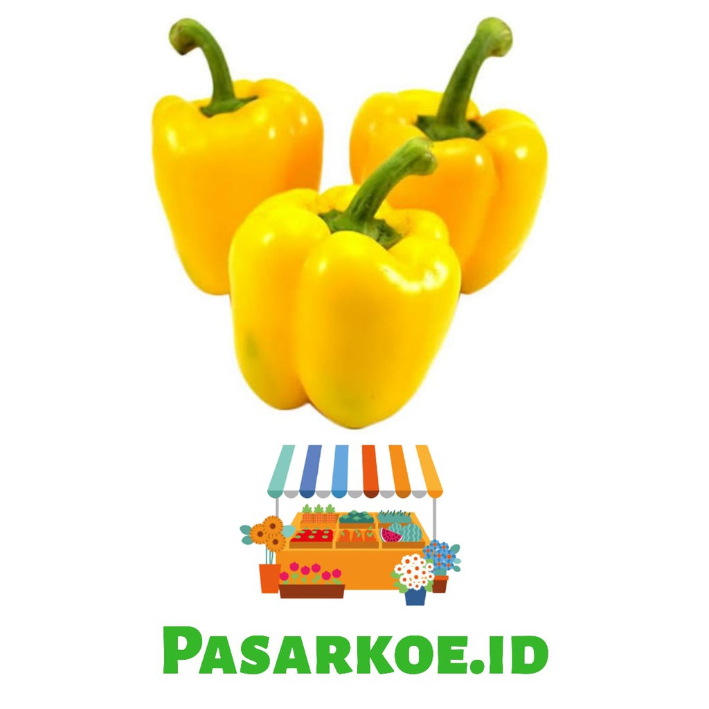 

PAPRIKA KUNING 500 GRAM