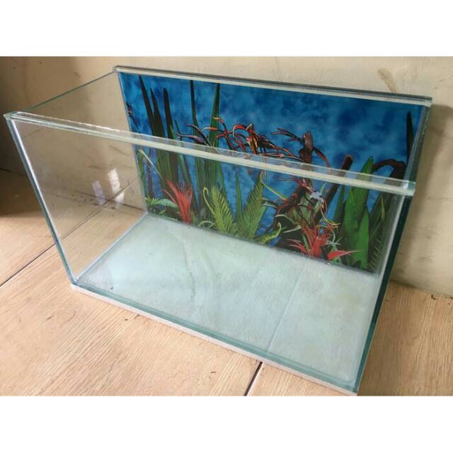 Aquascape Ukuran 40 X 20 - Cara Membuat Aquascape Murah ...