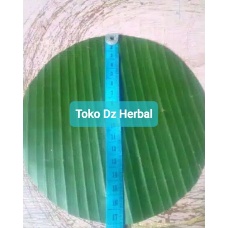 

Daun pisang kondisi real gambar diameter 17 cm-az