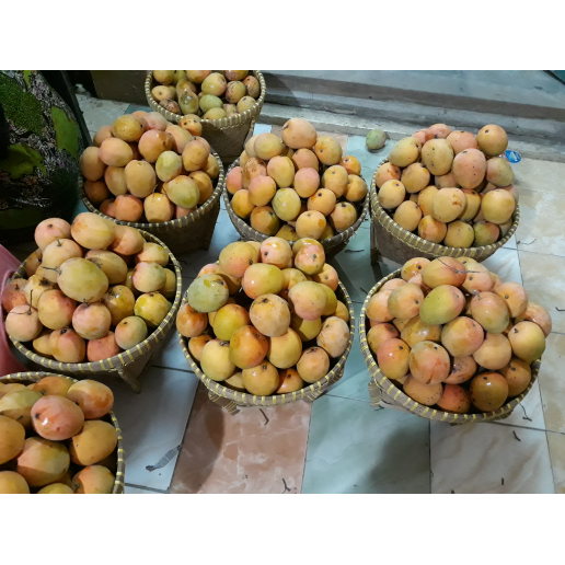 

Buah Mangga Gedong Gincu Indramayu