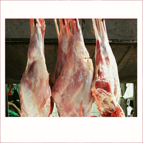 

Paha Bawah Kambing Segar 500gram Sayur Pekanbaru