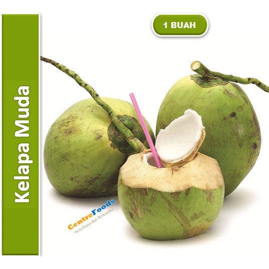 

Buah Kelapa Muda - Kelapa Degan | 1 BUAH [ Harga Per PCS ]