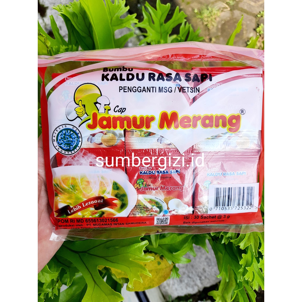 

S3059 Kaldu Daging Sapi Cap Jamur Merang 30pcs (1pack)