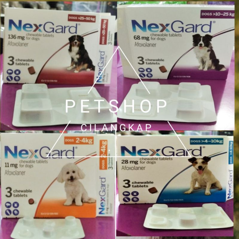 obat kutu nexgard untuk anjing obat kutu oral