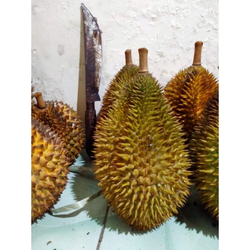 

durianlokal