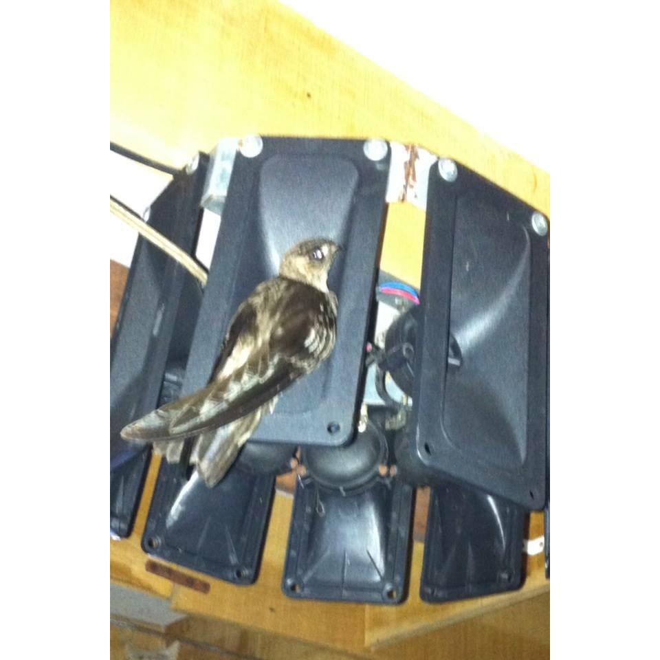 Tweeter Walet Hexagonal Internal Stainless / tweeter walet / speaker walet