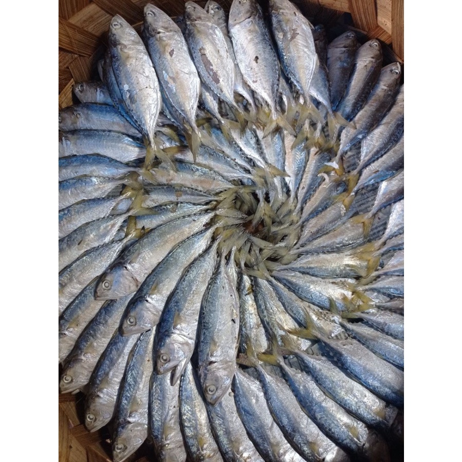 

Kembung Rebus Kecil/5ekor