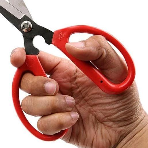 

™ Gunting Craftman Merah 15,5 CM / Gunting Kecil Serbaguna S209 ✻