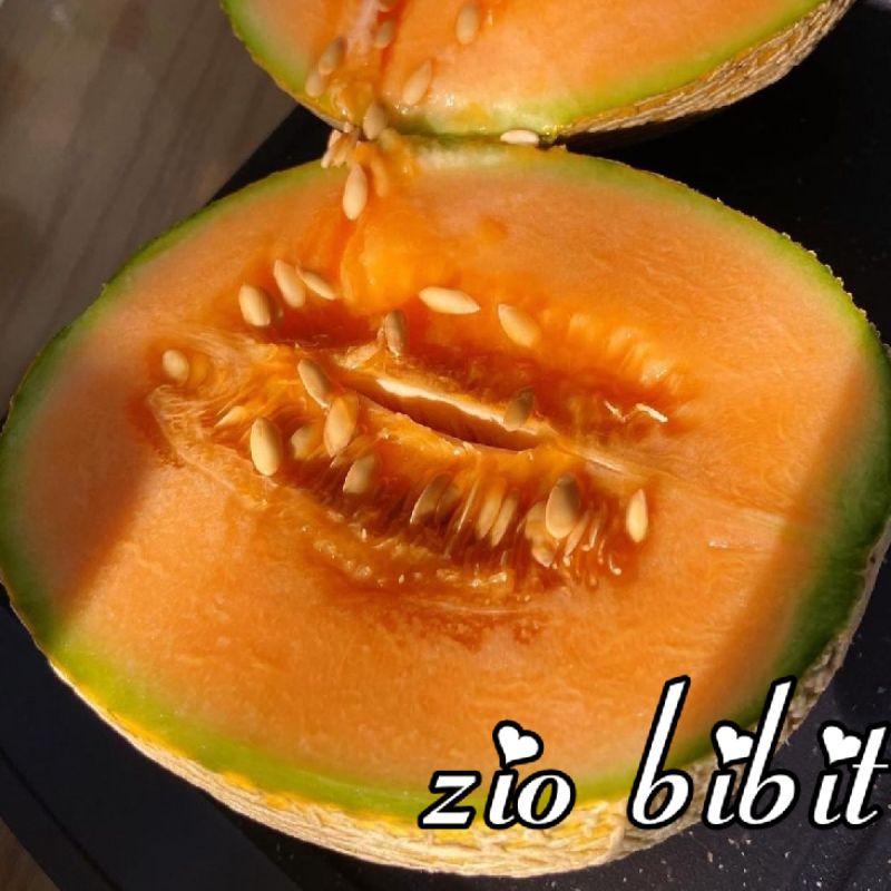 Benih bibit biji melon jepang melon madu