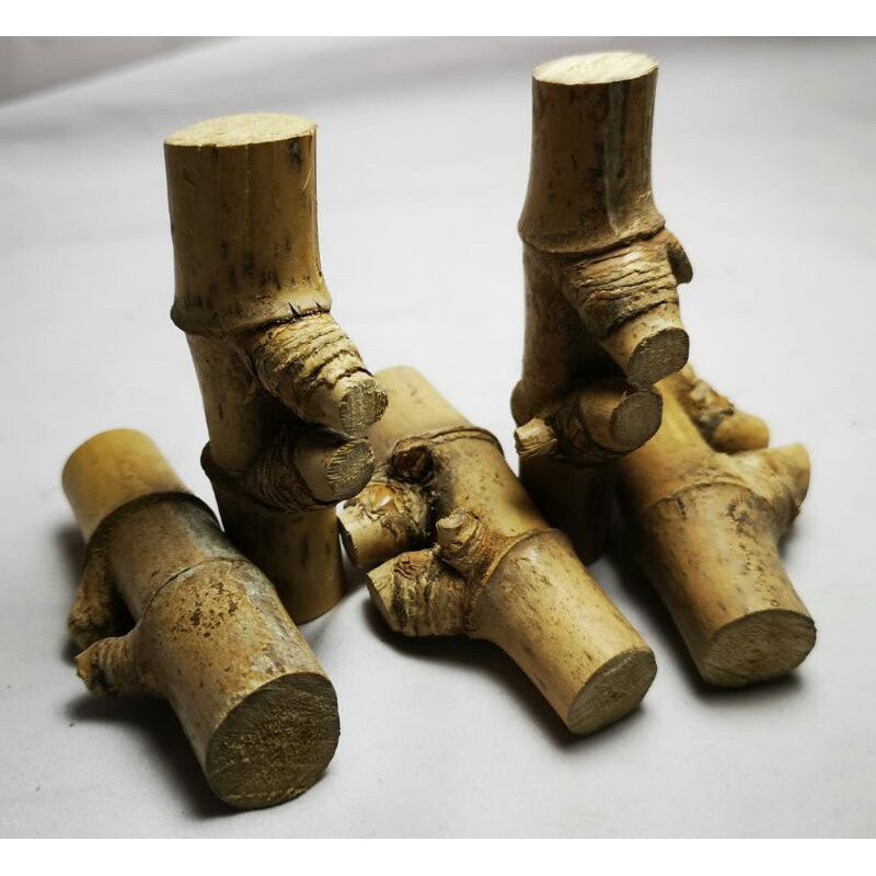 Bambu Pring Pethuk Bertemu Ruas Bambu Asli