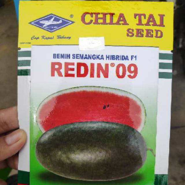 Benih atau bibit semangka redin cap kapal terbang isi 10 gram