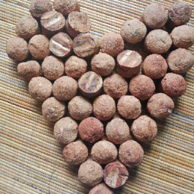 Download Gambar Buah Gambir Pics Download Gambar Buah Gambir Pics