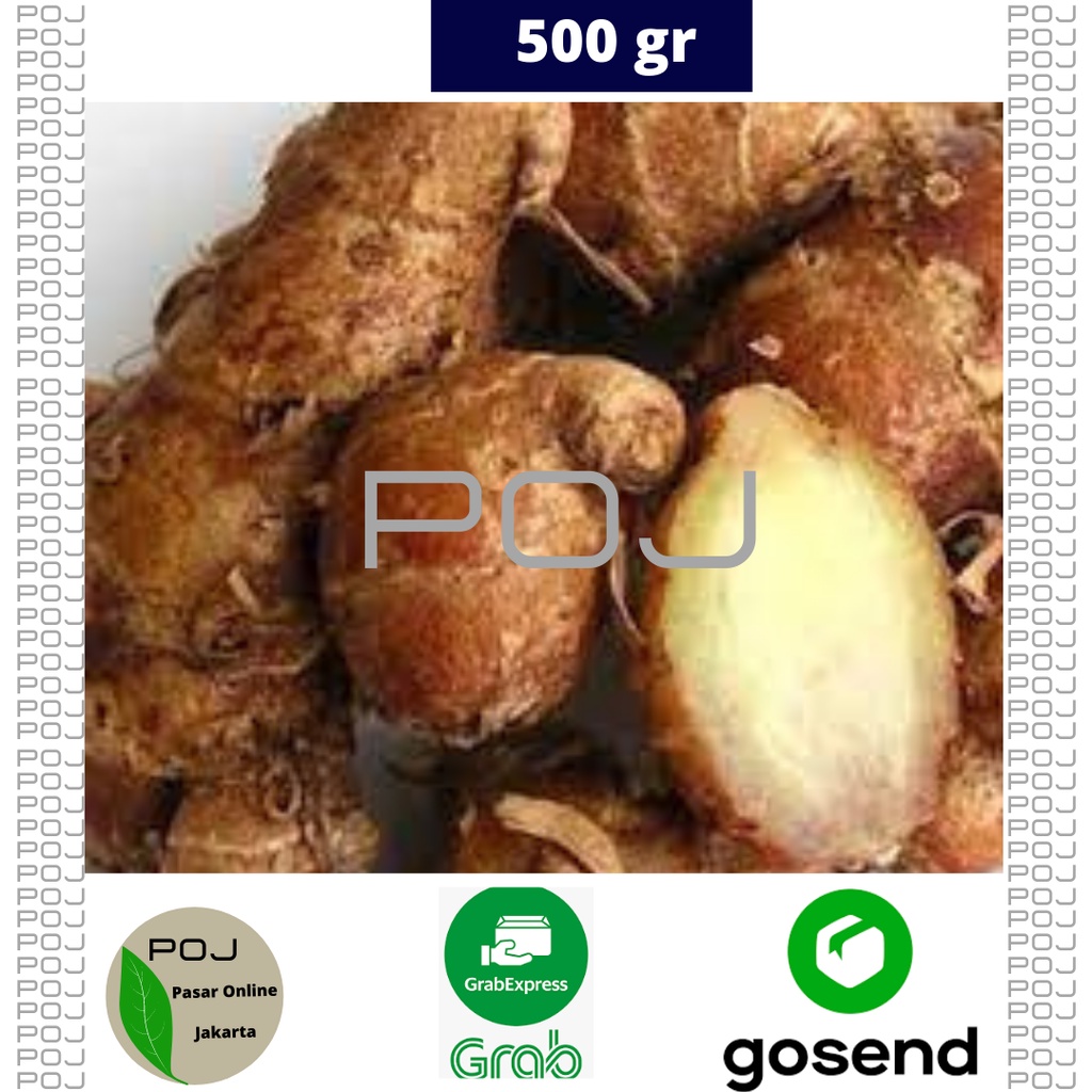 

Kencur 500 gr✓Kencur Segar✓Kencur✓Kencur Super✓Rempah✓Kencur Cikur✓POJ