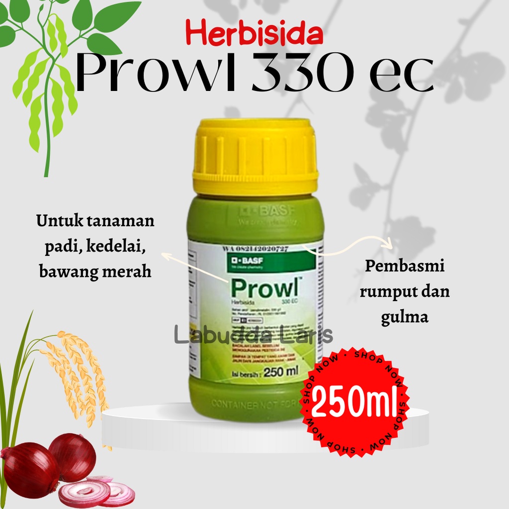 Prowl Herbisida Pra Tumbuh Herbisida Prowl 250ml Efektif Basmi Gulma Prowl 330ec Herbisida Pra Tumbu