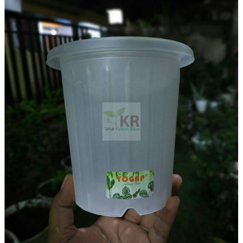 Pot Yogap YPT 10 Bening Transparan