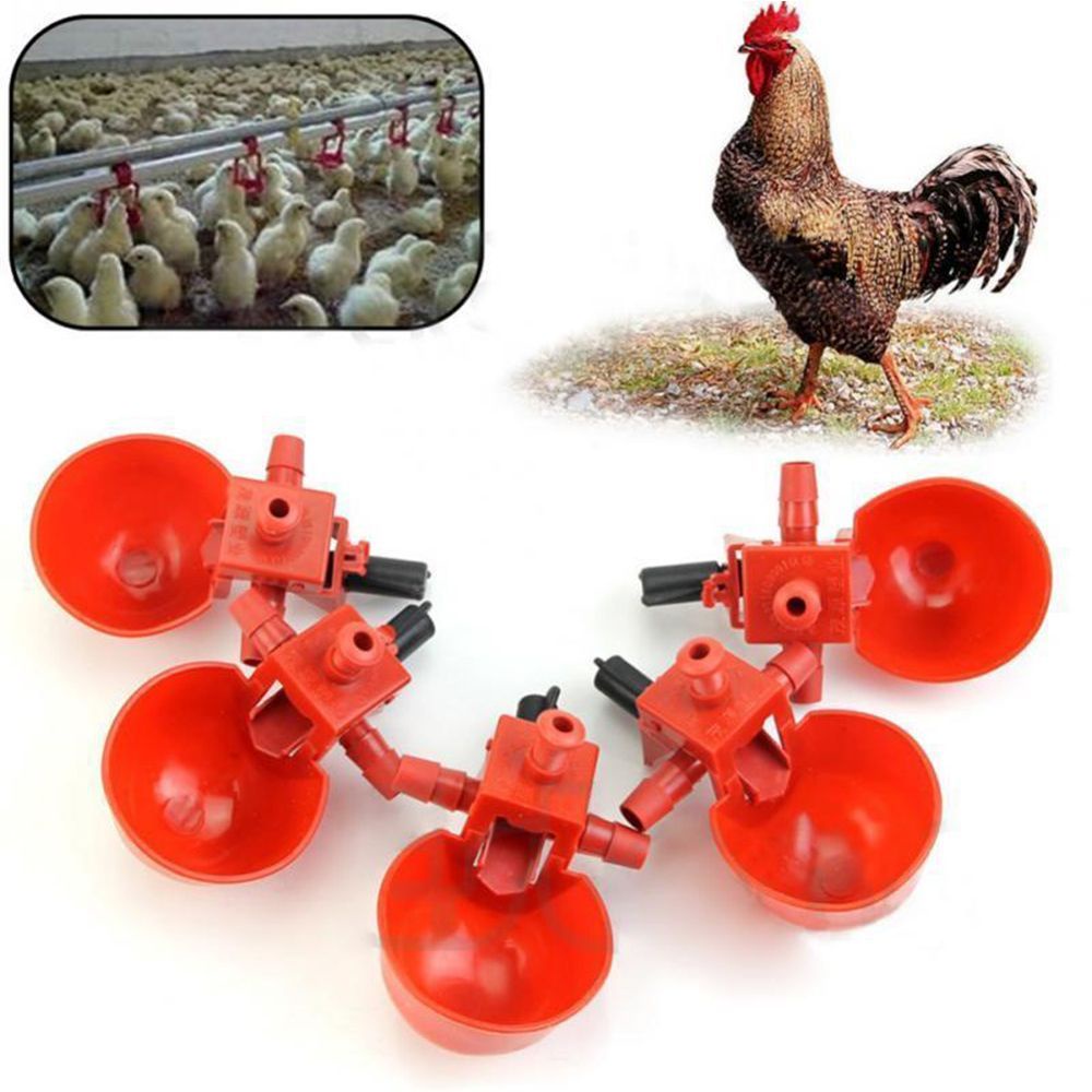 QUINTON 5Pcs Bowl Useful Drinking Drinker Poultry Duck Durable Plastic Practical Fowl Water Cup/Multicolor