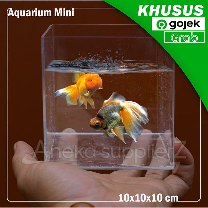 Aquarium Mini Akrilik