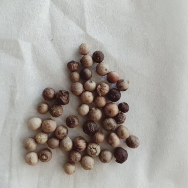 

Lada Asli Bangka 250g